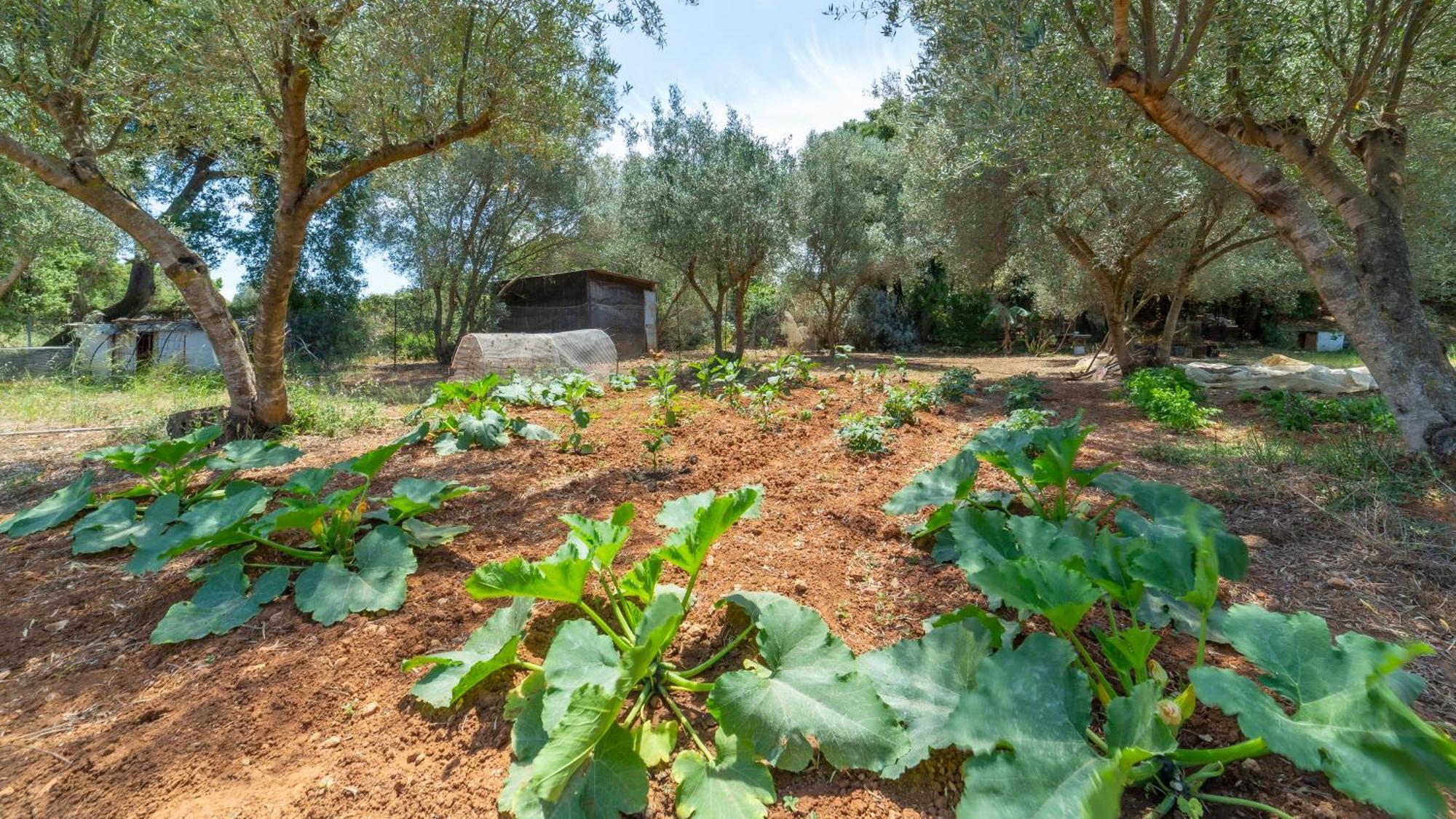 Villa Gallinistella Σπαρτιά Εξωτερικό φωτογραφία